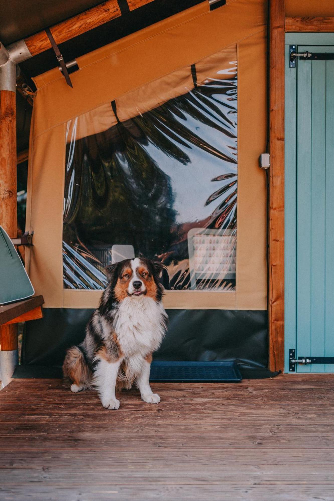 Hotel Rendes Glamping Balatonrendes Exterior foto